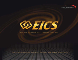 EICS trademark