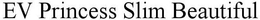 EV SLIM BEAUTIFUL trademark