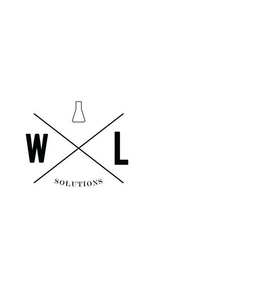 W L SOLUTIONS trademark