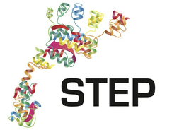 STEP trademark