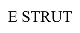 E STRUT trademark