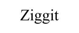 ZIGGIT trademark