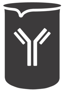Y trademark