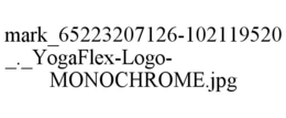 MARK_65223207126-102119520_._YOGAFLEX-LOGO- MONOCHROME.JPG trademark
