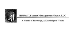 PINNACLE ASSET MANGEMENT GROUP, LLC A WEALTH OF KNOWLEDGE, A KNOWLEDGE OF WEALTH trademark