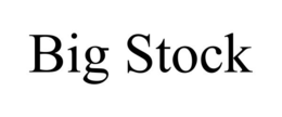 BIG STOCK trademark