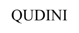 QUDINI trademark