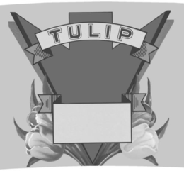 TULIP trademark