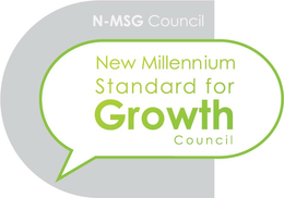 N-MSG COUNCIL NEW MILLENNIUM STANDARD FOR GROWTH COUNCIL trademark