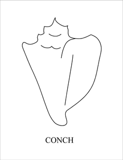 CONCH trademark