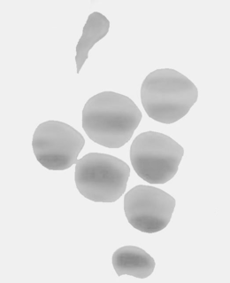 LogoMark trademark
