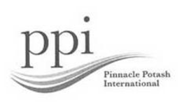 PPI PINNACLE POTASH INTERNATIONAL trademark