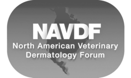 NAVDF NORTH AMERICAN VETERINARY DERMATOLOGY FORUM trademark