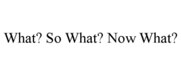 WHAT? SO WHAT? NOW WHAT? trademark