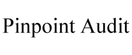 PINPOINT AUDIT trademark