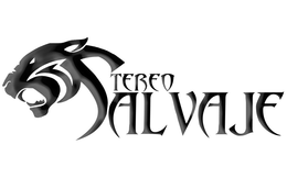 STEREO SALVAJE trademark