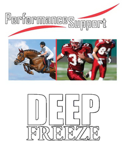 PERFORMANCE SUPPORT DEEP FREEZE trademark
