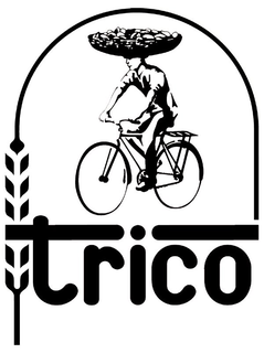 TRICO trademark