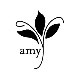 AMY Y trademark
