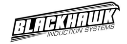 BLACKHAWK INDUCTION SYSTEMS trademark