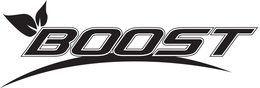 BOOST trademark