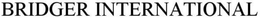 BRIDGER INSIGHT trademark