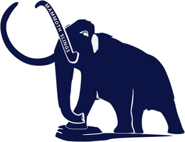 MAMMOTH SLINGS trademark