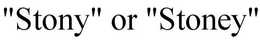 "STONY" OR "STONEY" trademark