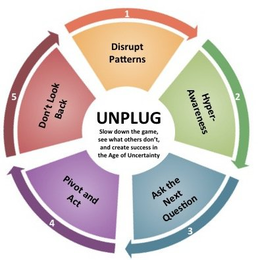 UNPLUG SLOW DOWN THE GAME, SEE WHAT OTHERS DON'T AND CREATE SUCCESS IN THE AGE OF UNCERTAINTY 1 DISRUPT PATTERNS 2 HYPER-AWARENESS 3 ASK THE NEXT QUESTION 4 PIVOT 5 ACT DON'T LOOK BACK trademark