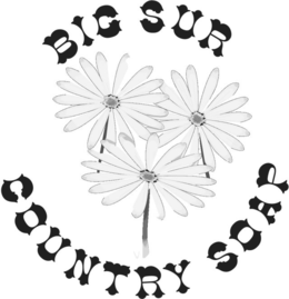 BIG SUR COUNTRY SOAP trademark
