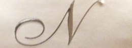N trademark