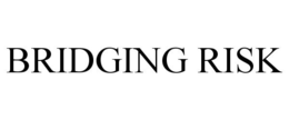 BRIDGING RISK trademark
