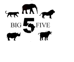 BIG 5 FIVE trademark