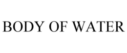 BODY OF WATER trademark