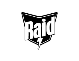 RAID trademark