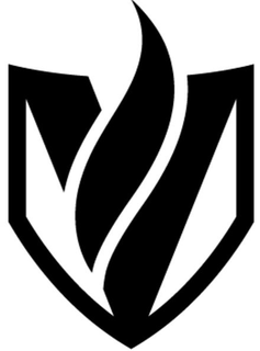V trademark