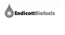 ENDICOTT BIOFUELS trademark