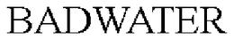 BADWATER trademark