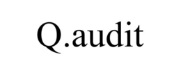 Q.AUDIT trademark
