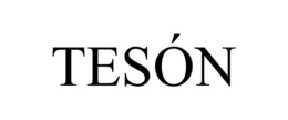 TESÓN trademark