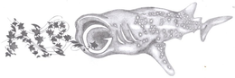 AIR GILL trademark