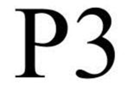 P3 trademark