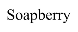 SOAPBERRY trademark