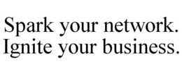 SPARK YOUR NETWORK. IGNITE YOUR BUSINESS. trademark