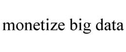 MONETIZE BIG DATA trademark