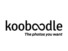 KOOBOODLE THE PHOTOS YOU WANT trademark