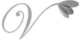 V trademark