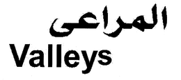 VALLEYS trademark