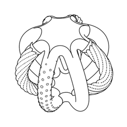 LogoMark trademark