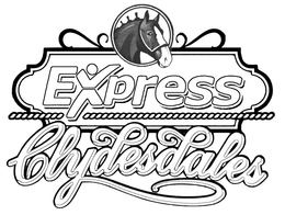 EXPRESS CLYDESDALES trademark
